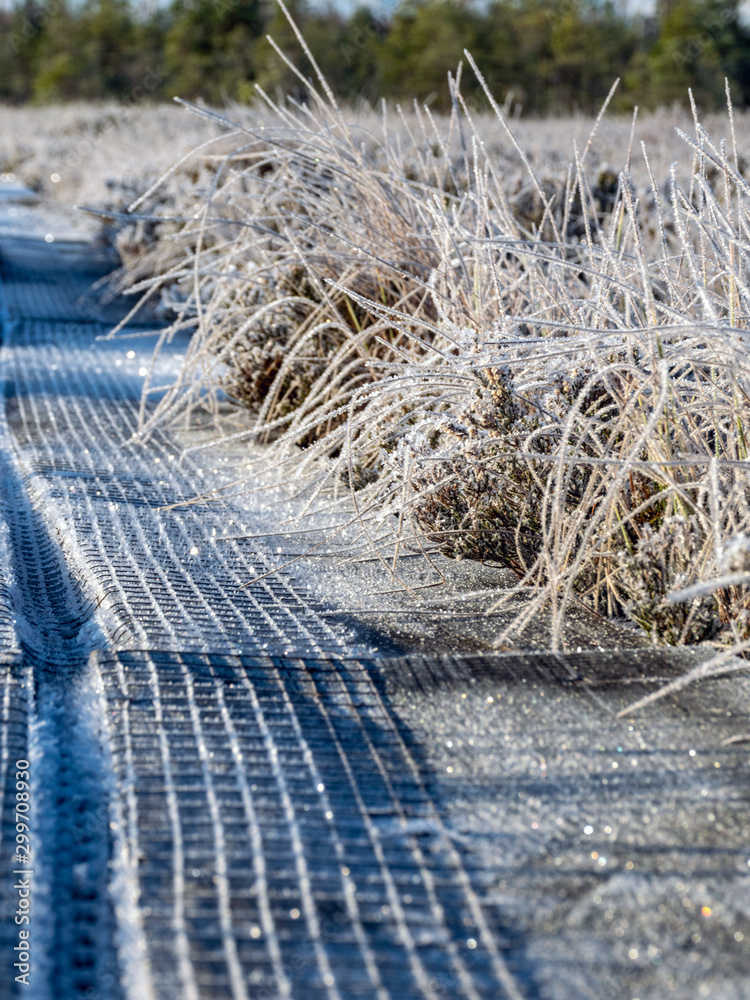 abstract picture with frosted boardwalk and marshes and shadows, suitable for background