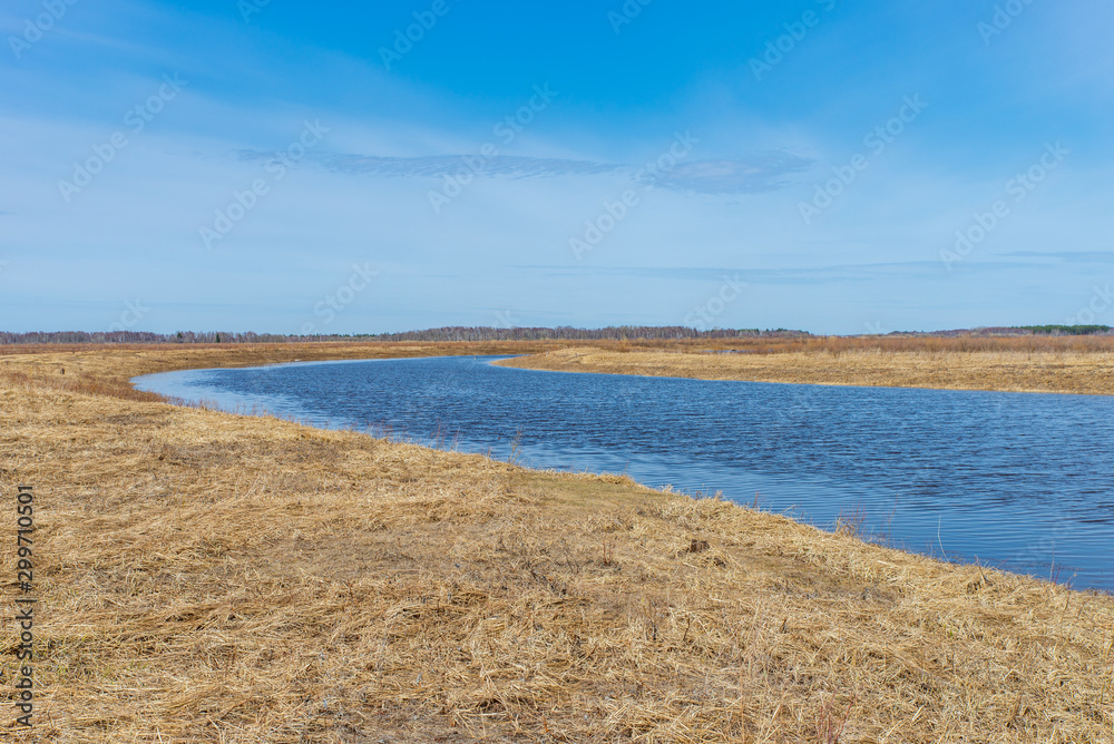 A small river in the spring season A small river in the spring season
