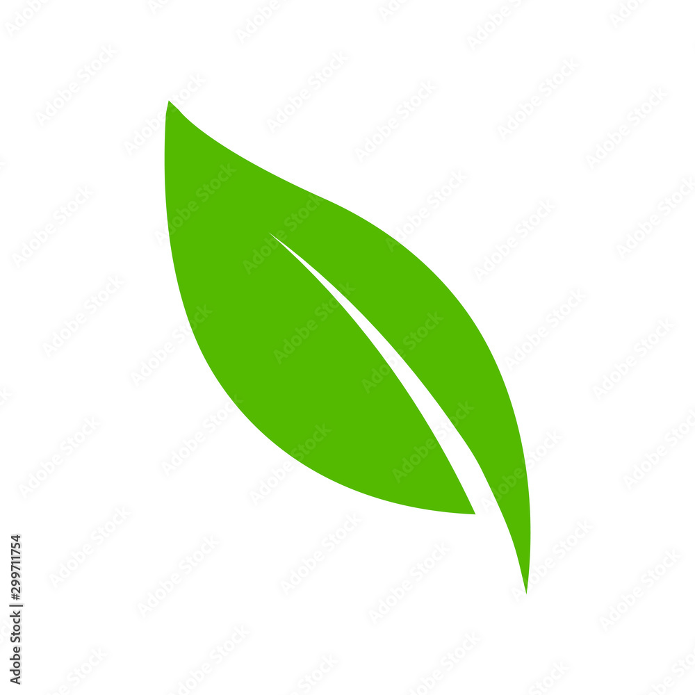 leaf logo vector design template