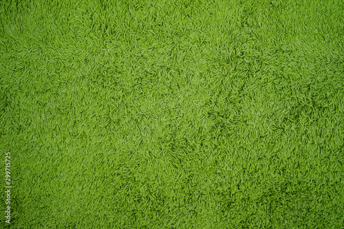 Green carpet texture background from above.