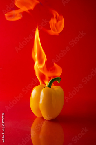 chili pepper red on fire, burning pepper, hot pepper, on a red and black background.