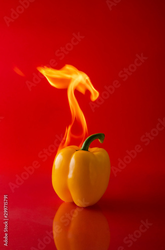 chili pepper red on fire, burning pepper, hot pepper, on a red and black background.