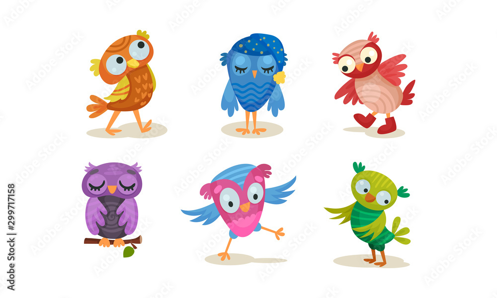 Set of cartoon colorful owls. Vector illustration on a white background.