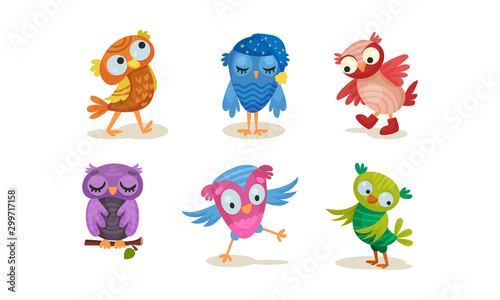 Set of cartoon colorful owls. Vector illustration on a white background. © Happypictures