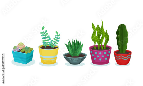 Different green plants in flower pots. Vector illustration on a white background. photo