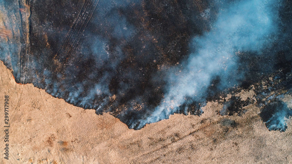 Forest and field fire. Dry grass burns, natural disaster. Aerial view. View vertically from top to bottom, the camera gradually descends from a height down.