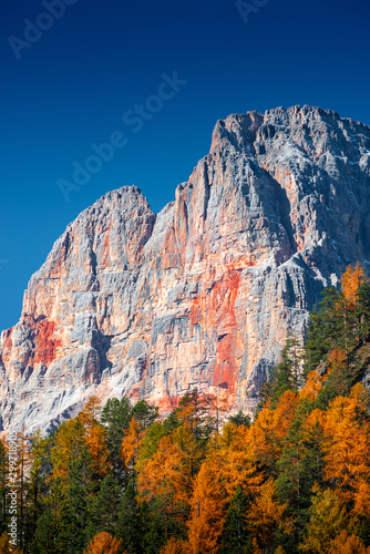View over larch, pine and spruce forests covering Dolomite Red Peak (Croda Rossa) in Autumn October colors at sunny day, Dolomites, South Tyrol, Italy