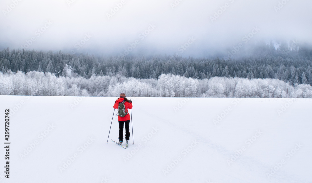 Woman skate skiing in a barren wintry wilderness of the Methow Valley, with a snow-covered pine forest in the distance - Washington, USA 