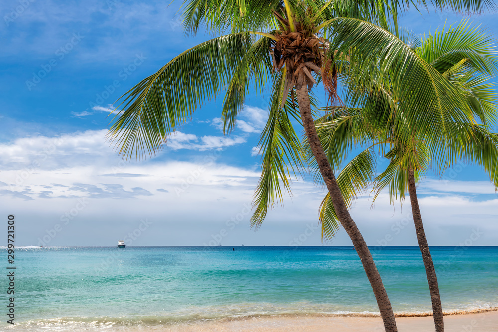 Paradise beach with palm trees and tropical sea in Key West, Florida Paradise beach with palm trees and tropical sea in Key West, Florida