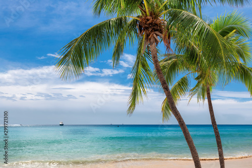 Fototapeta Naklejka Na Ścianę i Meble -  Paradise beach with palm trees and tropical sea in Key West, Florida