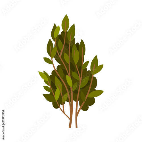 Thin branches with green leaves. Vector illustration on a white background.