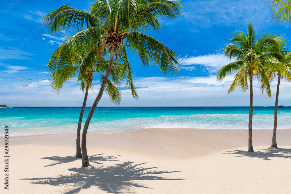 Paradise beach with palm trees and tropical sea