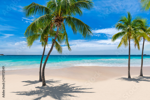 Paradise beach with palm trees and tropical sea