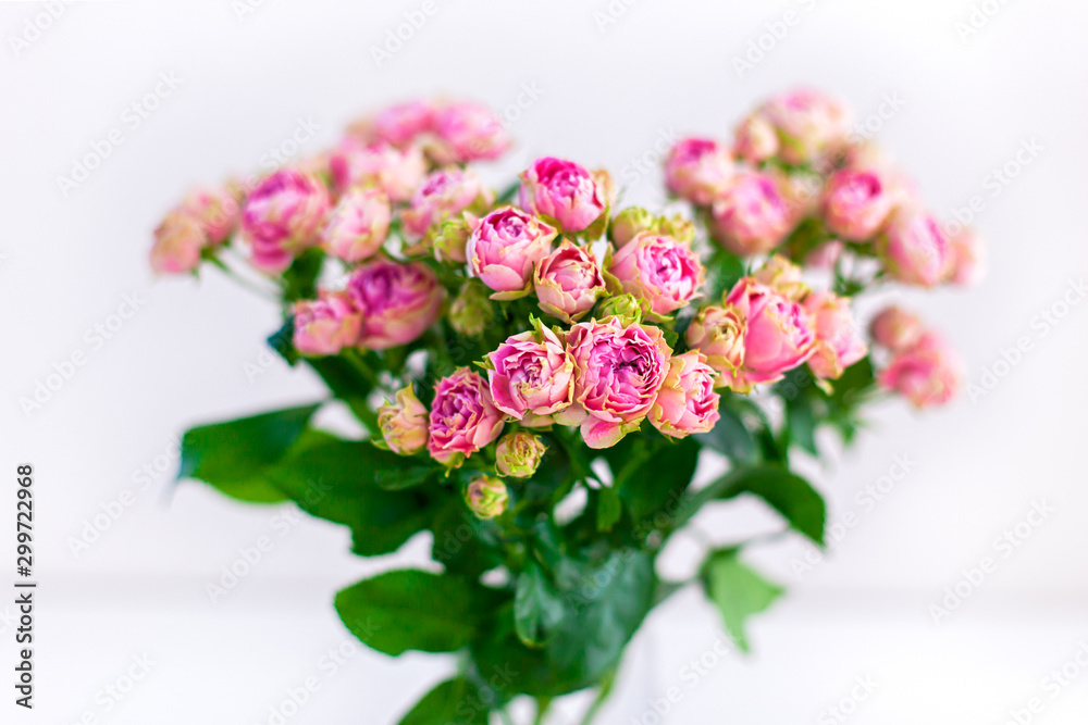 Bouquet of pink spray peony roses.