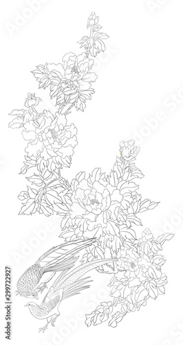Peony tree branch with flowers with pheasants in the style of Chinese painting on silk. Coloring page for the adult coloring book. Outline vector illustration.