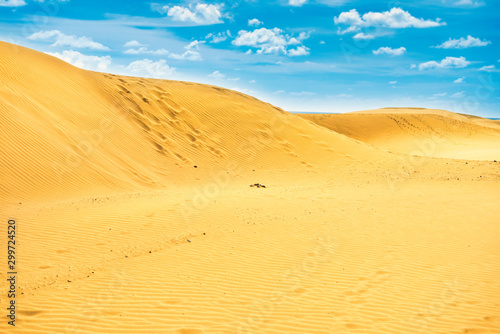 Desert with sand dunes and clouds on blue sky. Landscape of natural reserve Maspalomas Dunes. Gran Canaria  Spain