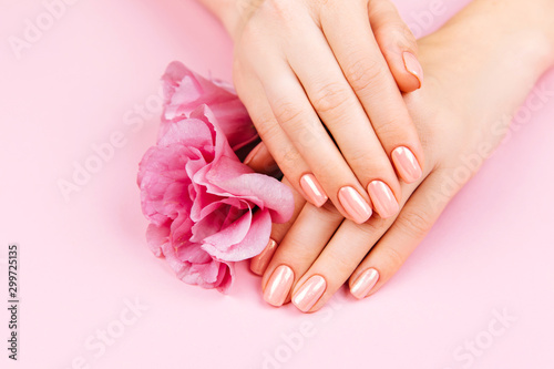 Beautiful Woman Hands with fresh eustoma. Spa and Manicure concept. Female hands with pink manicure. Soft skin skincare concept. Beauty nails. Over beige background