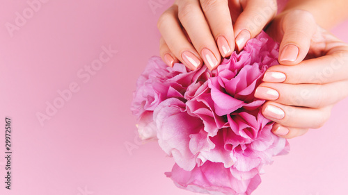 Beautiful Woman Hands with fresh eustoma. Spa and Manicure concept. Female hands with pink manicure. Soft skin  skincare concept. Beauty nails. Over beige background