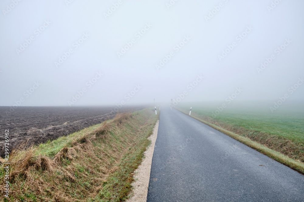 Naklejka premium Countryside road to nowhere - narow street with diminishing perspektive leading into the fog. Seen in Germany near Oedenberg, Bavaria in October.