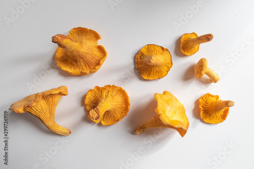 Chanterelle mushrooms image. A set of eatable mushrooms