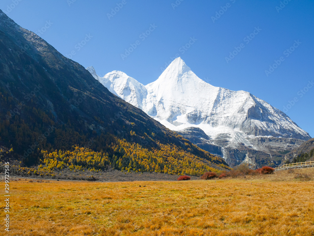 Colorful Chonggu meadow with snow-capped mountains in the background