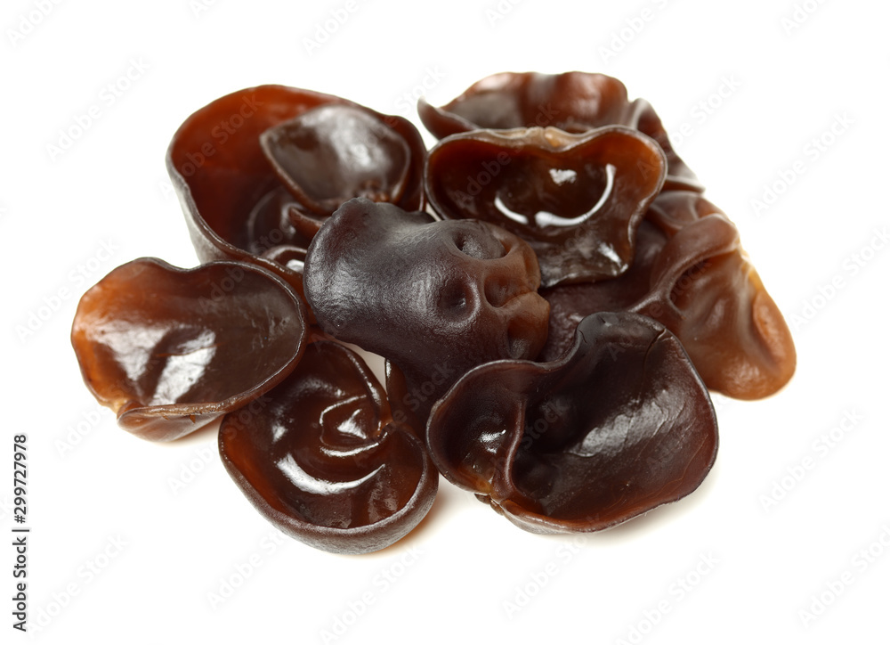 black fungus on white background black fungus on white background