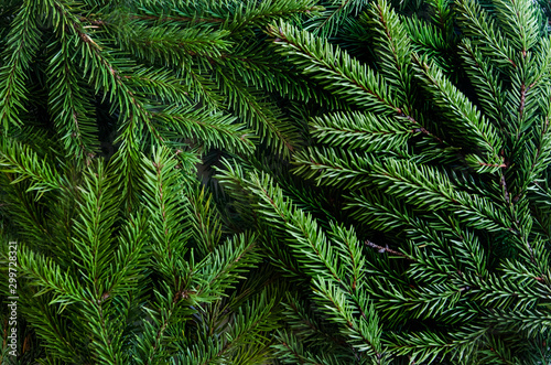 Christmas tree branches background. Christmas frame. Holiday's Background Happy New Year. Christmas tree frame. Design for banner, post