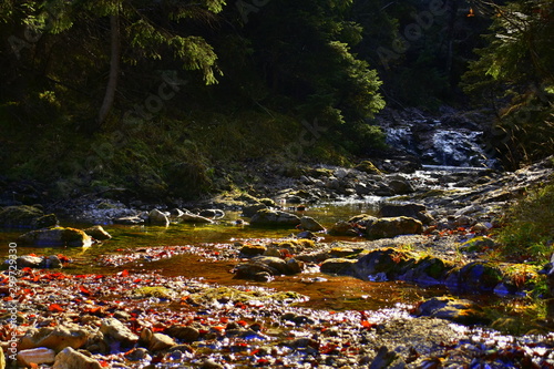 Fototapeta Naklejka Na Ścianę i Meble -  Gorge in the Western Tatras, White Valley, Dolina Bialego 