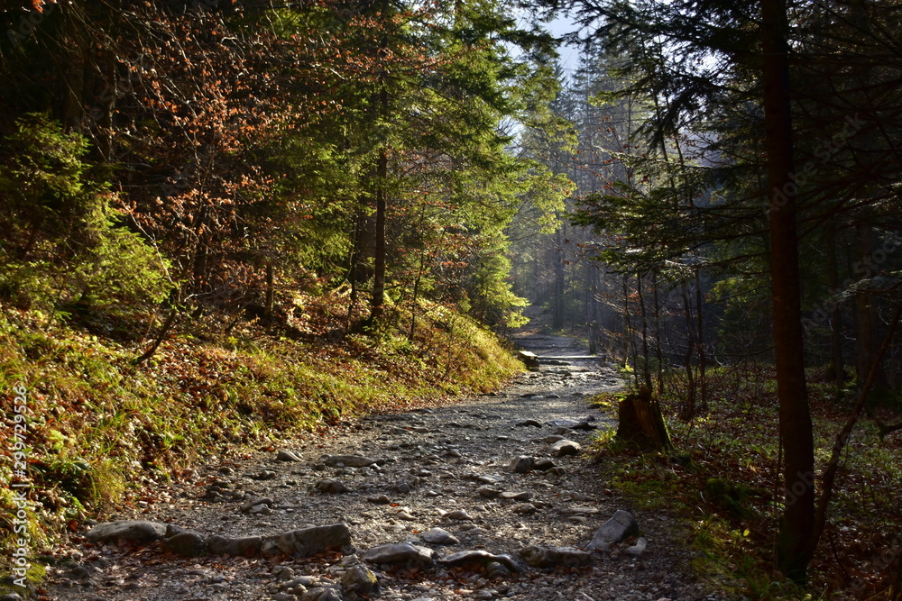 Gorge in the Western Tatras, White Valley, Dolina Bialego Gorge in the Western Tatras, White Valley, Dolina Bialego