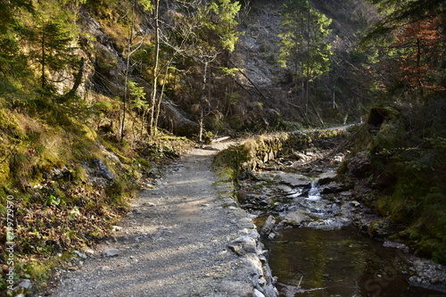 Gorge in the Western Tatras, White Valley, Dolina Bialego 