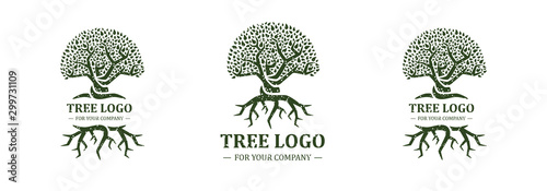 Tree logo isolated on a white background. Classic design. Green and brown colors. Lettering. Space for text. Leaves and roots. Simple modern concept. Circle form. Flat style vector illustration.