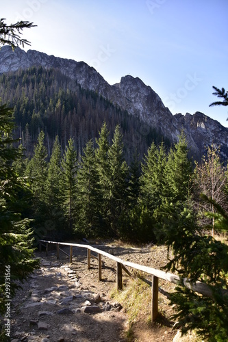 Fototapeta Naklejka Na Ścianę i Meble -  Sarnia Skała Tatry Zachodnie Polska