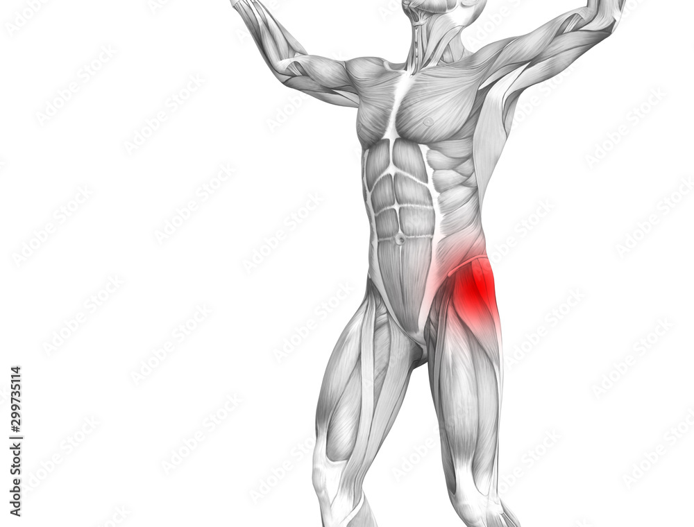 Conceptual hip human anatomy with red hot spot inflammation articular joint pain for leg health care therapy or sport muscle concepts. 3D illustration man arthritis or bone sore osteoporosis disease