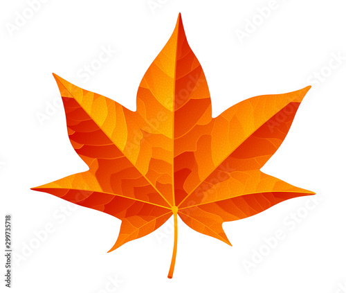 Abstract orange autumn leaf isolated on white background