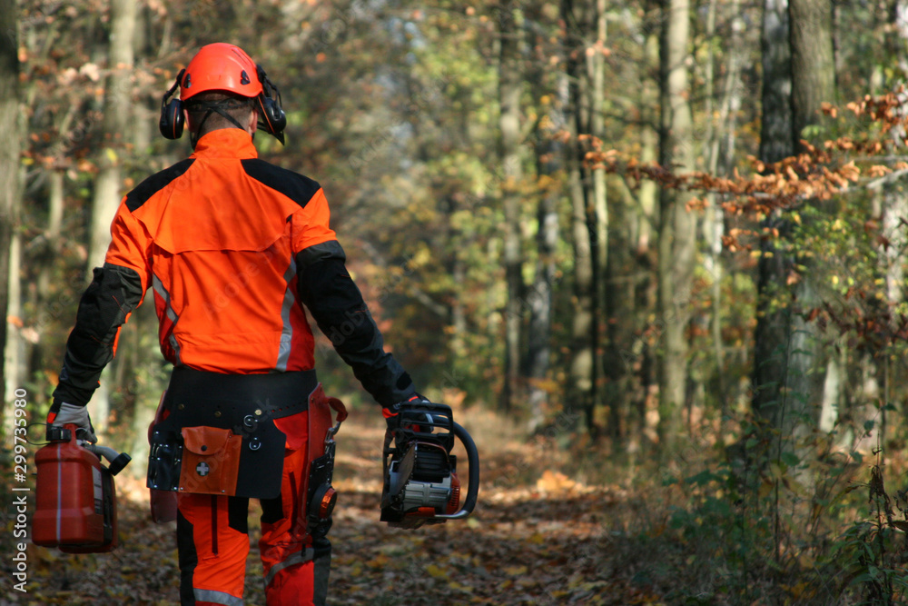 Fototapeta premium drwal pilarz