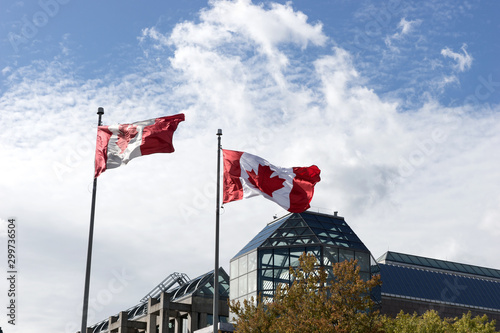 Canadian flags in the wind in front of blue sky