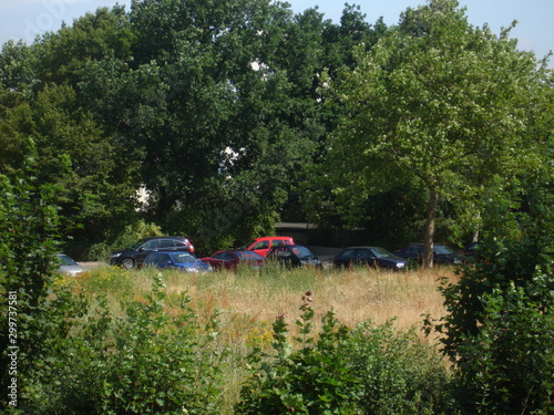 Feld_001