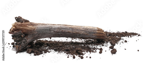 Decorative dry rotten branch in soil, dirt pile, wood for campfire isolated on white background
