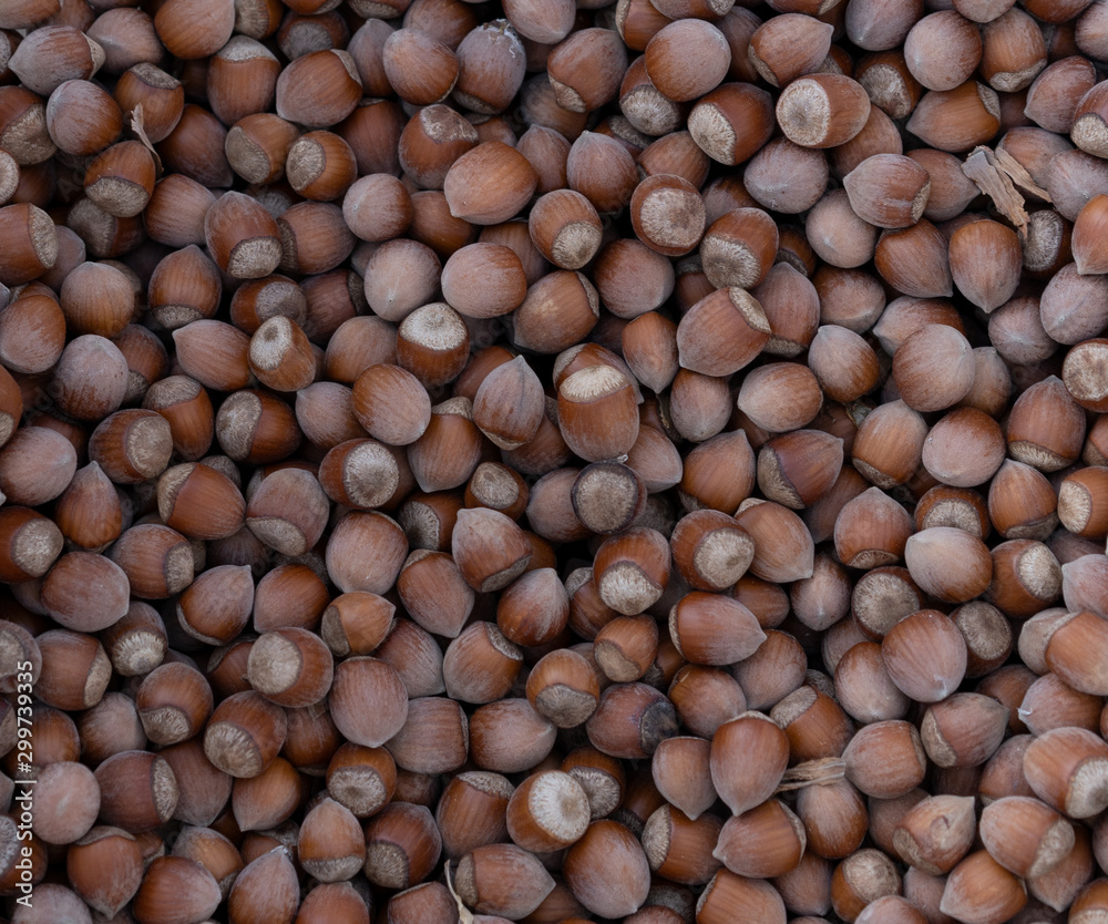 Hazelnuts as background and texture Hazelnuts as background and texture
