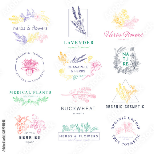 Cosmetic products logo hand drawn vector set. Medical plants, lavender, buckwheat illustrations with typography pack. Natural eco with herbs label, sticker, badge design collection