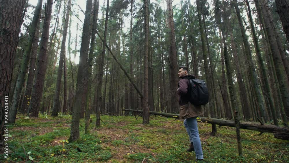 Man walking through tall trees in autumn forest. Male traveler stepping up hiking with travel backpack trekking in pine woodland, walk slowly discover woods. Slow motion steadicam wide angle shot Man walking through tall trees in autumn forest. Male traveler stepping up hiking with travel backpack trekking in pine woodland, walk slowly discover woods. Slow motion steadicam wide angle shot