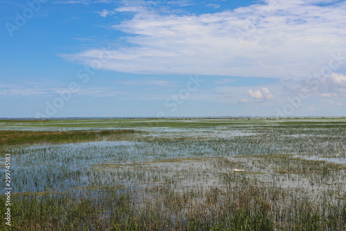 photo of Small lake landscape.