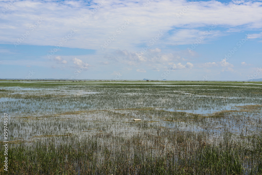 Obraz premium photo of Small lake landscape.
