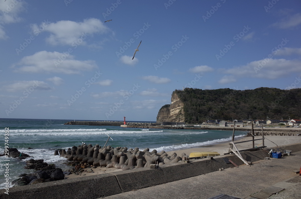 custom made wallpaper toronto digitalæ³¢æ ¹æµ·å²¸