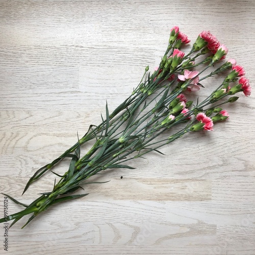 Bukiet różowych goździków na tle białych desek drewnianych