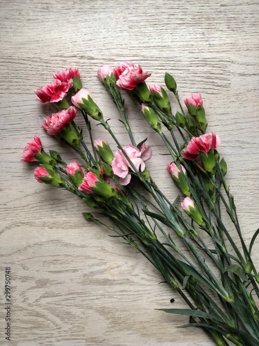 Bukiet różowych goździków na tle białych desek drewnianych