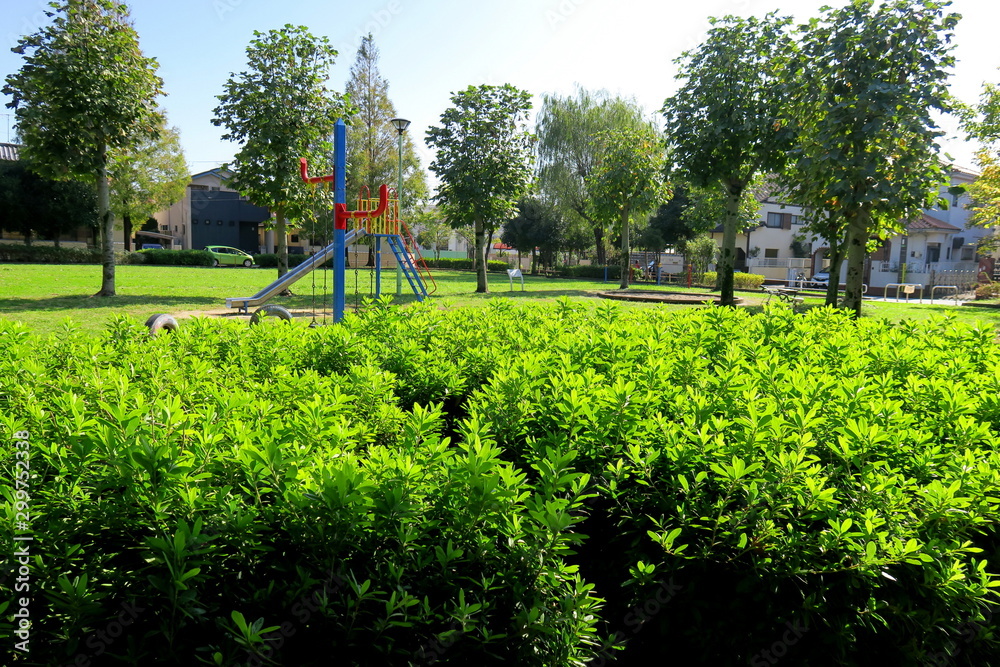 Obraz premium 秋の住宅地の公園風景