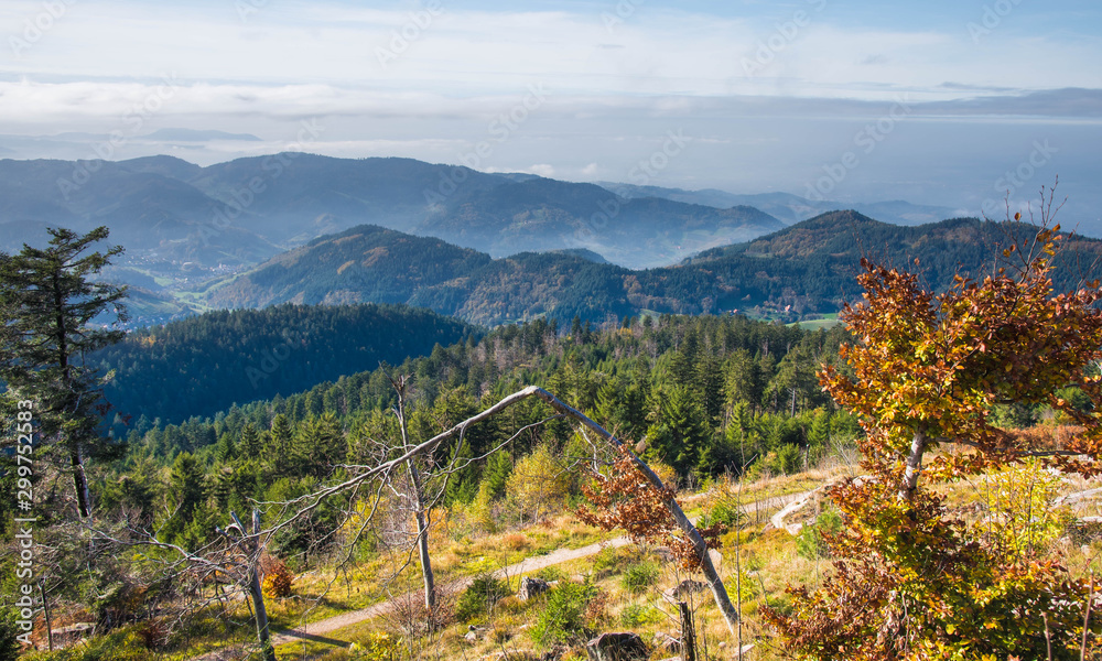 Blick von der Hornisgrinde im Schwarzwald im späten Herbst