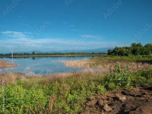 Green natural habitat at Castlereigh reservoir  surrounded by tea plantations in Sri Lanka
