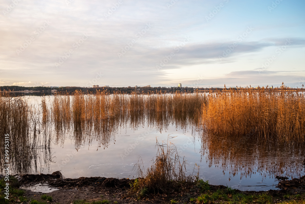 view of autumn lake with dried reeds view of autumn lake with dried reeds